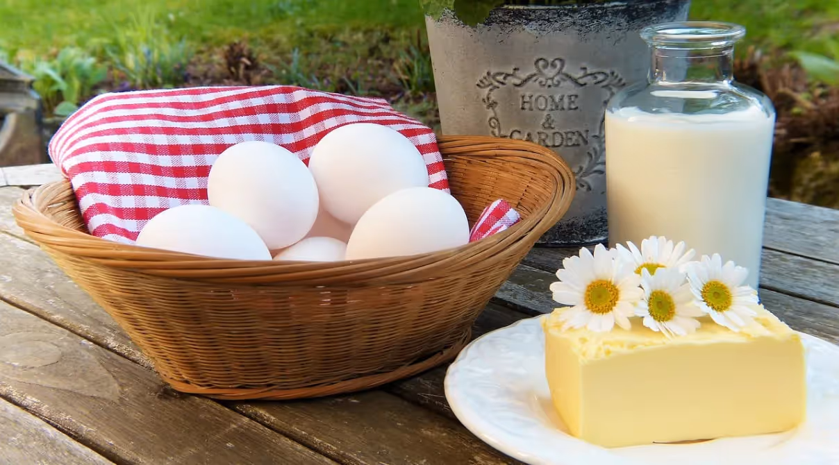 Produktion von tierischen Lebensmittel