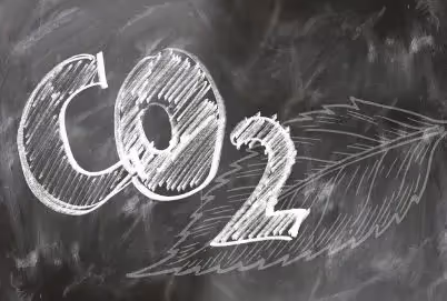 CO2 kompensieren, CO2 Ausgleich, Klimakompensation
