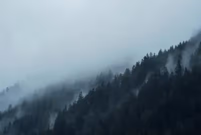 Papierverbrauch = Waldverbrauch – ein vielseitiges Problem