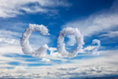 Der freiwillige Markt für CO₂-Kompensation
