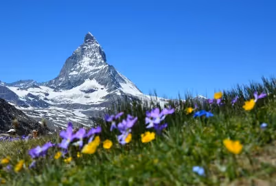 Erschreckende Gletscherschmelze und Anhebung der Schneegrenze in der Schweiz