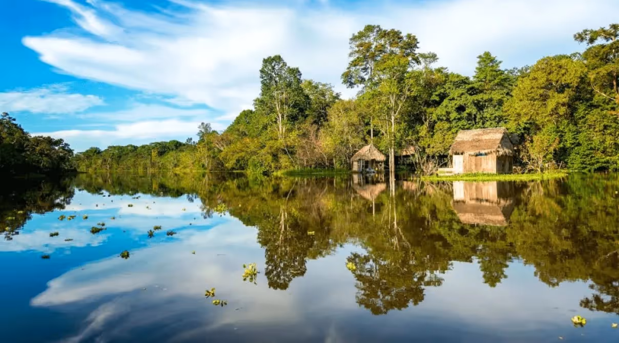 REDD-Klimaschutzprojekte
