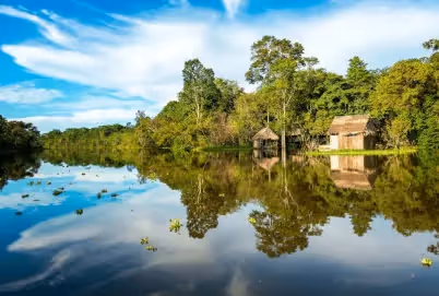 REDD-Klimaschutzprojekte