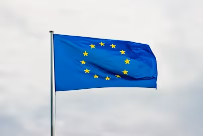 Die EU-Taxonomie: Ein Leitfaden
