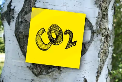 CO₂-Spickzettel
