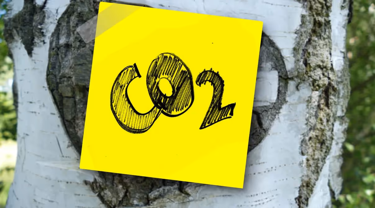 Die CO₂-Steuer - Instrument der Klimapolitik