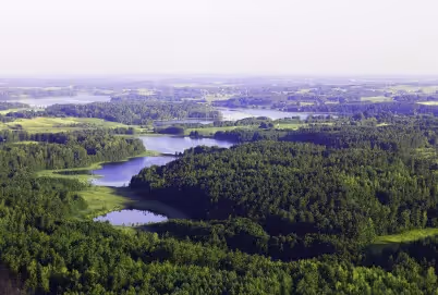 Die europäischen Urwälder