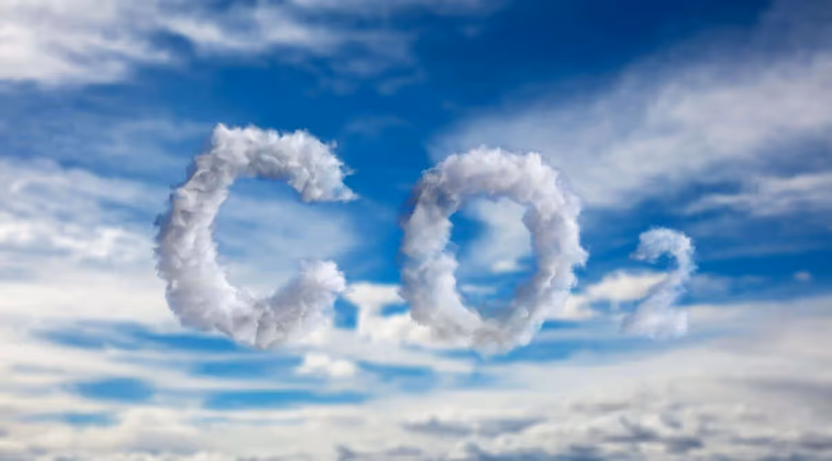 Der freiwillige Markt für CO₂-Kompensation