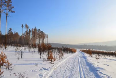 Die Schneewälder in Sibirien