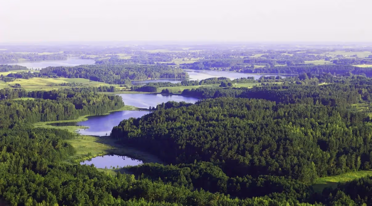 Die europäischen Urwälder