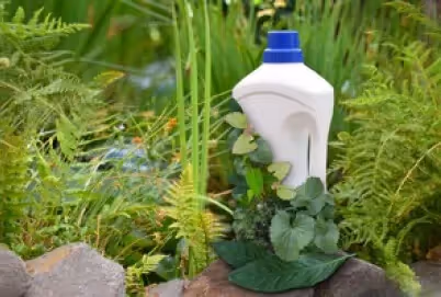 Kompostierbarer Kunststoff – umweltfreundliche Lösung gegen die Plastikflut?