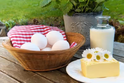 Produktion von tierischen Lebensmittel