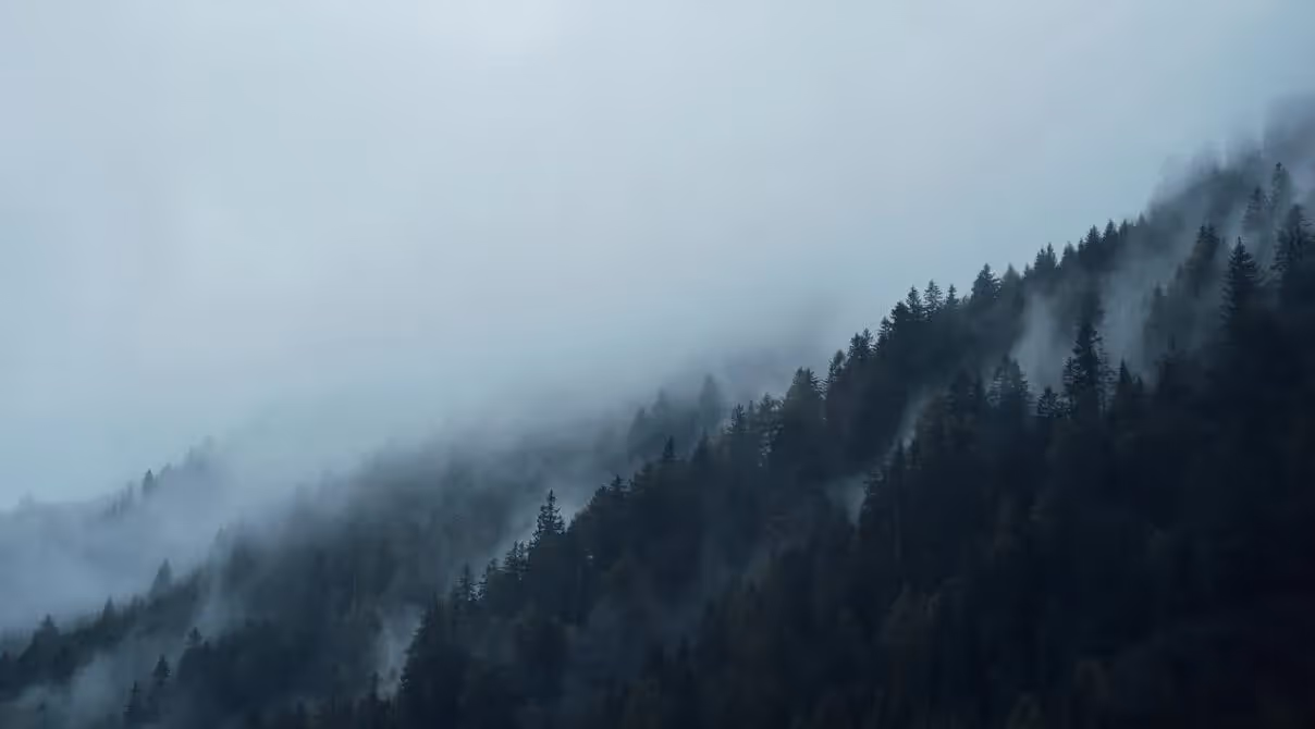 Umweltstandards für Unternehmen: ISO, GRI, CDP & Co.