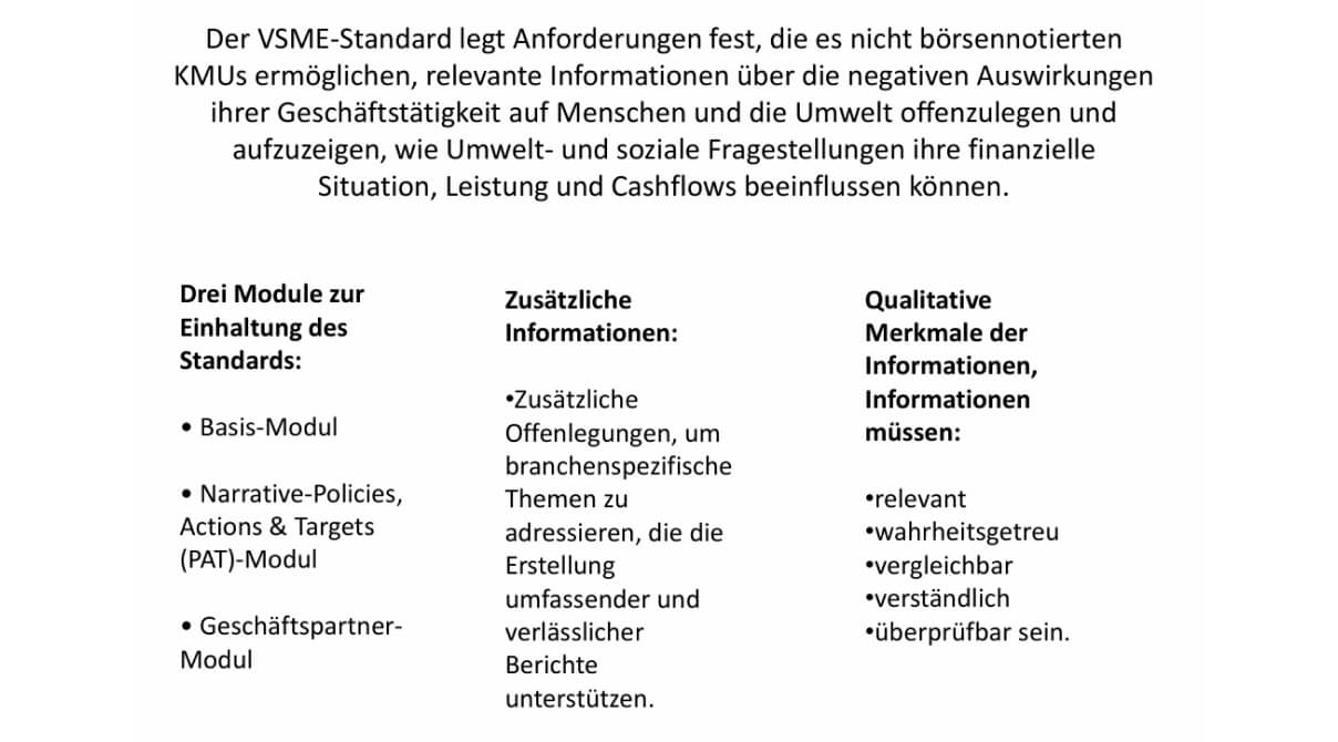 VSME voluntary SME-Standard