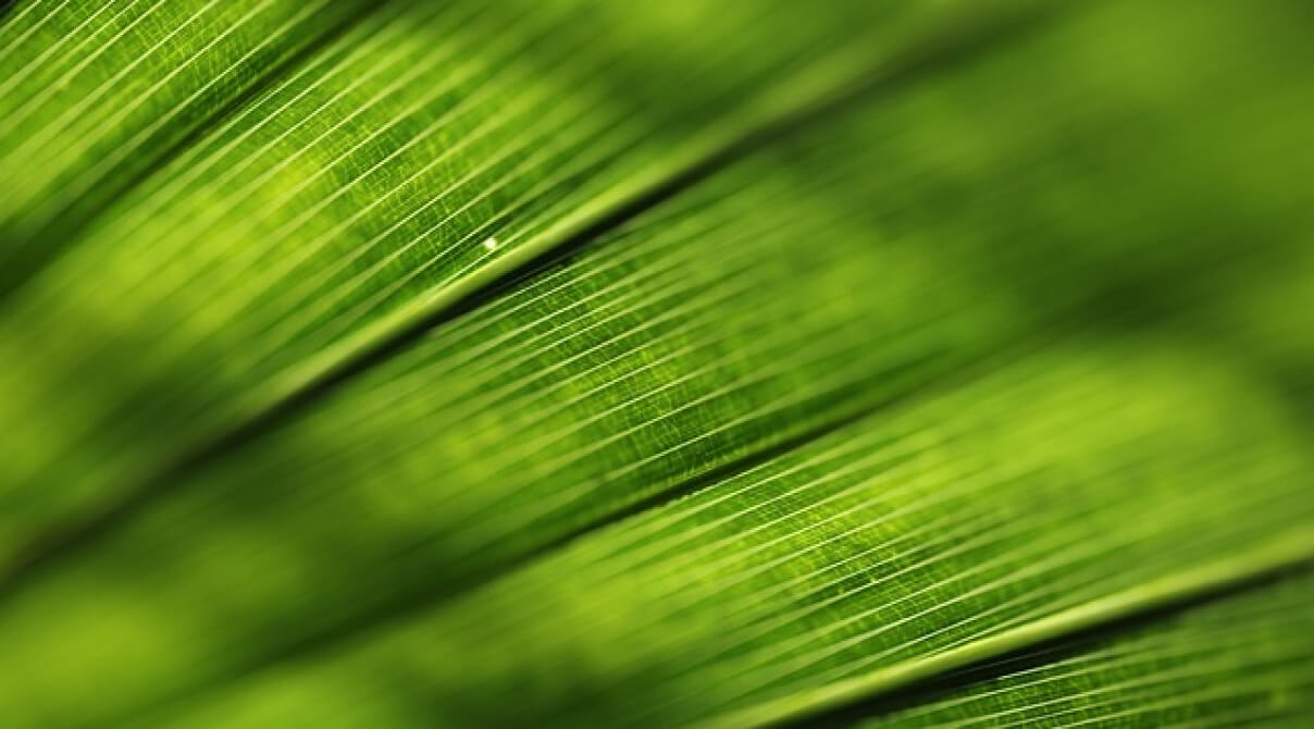 Greenwashing Verbot, Schweiz