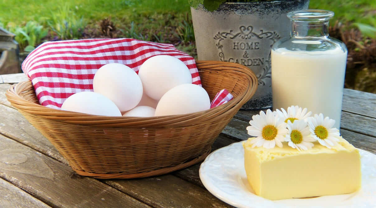 Produktion von tierischen Lebensmittel