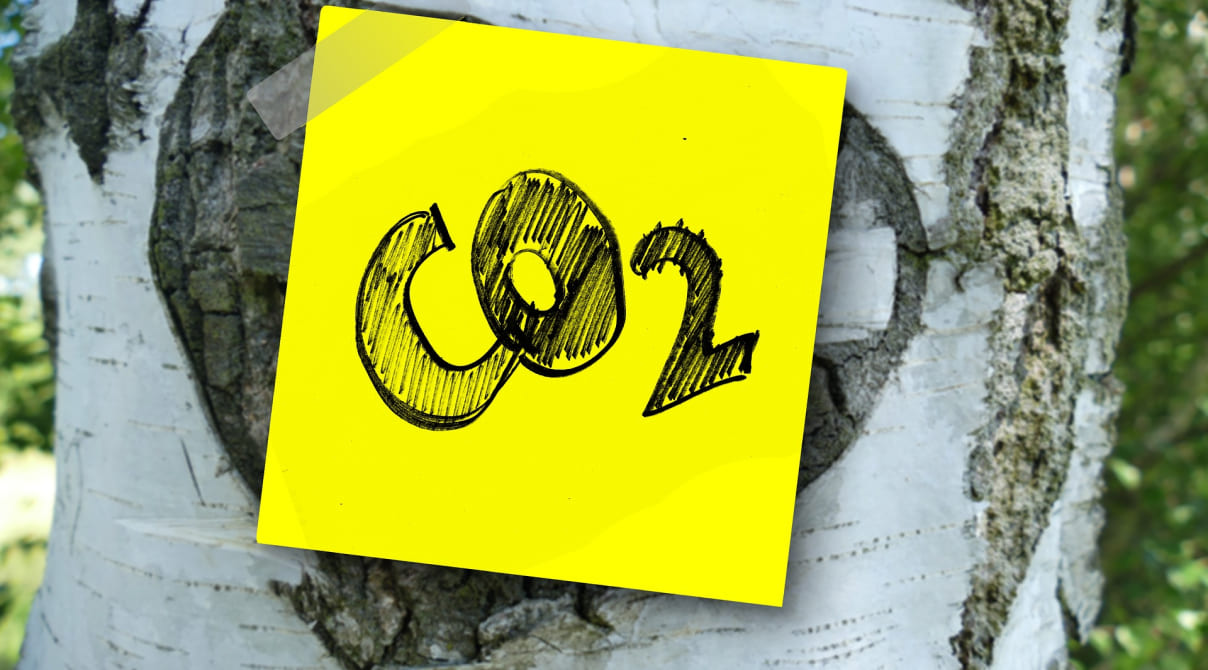 Die CO2-Steuer - Instrument der Klimapolitik