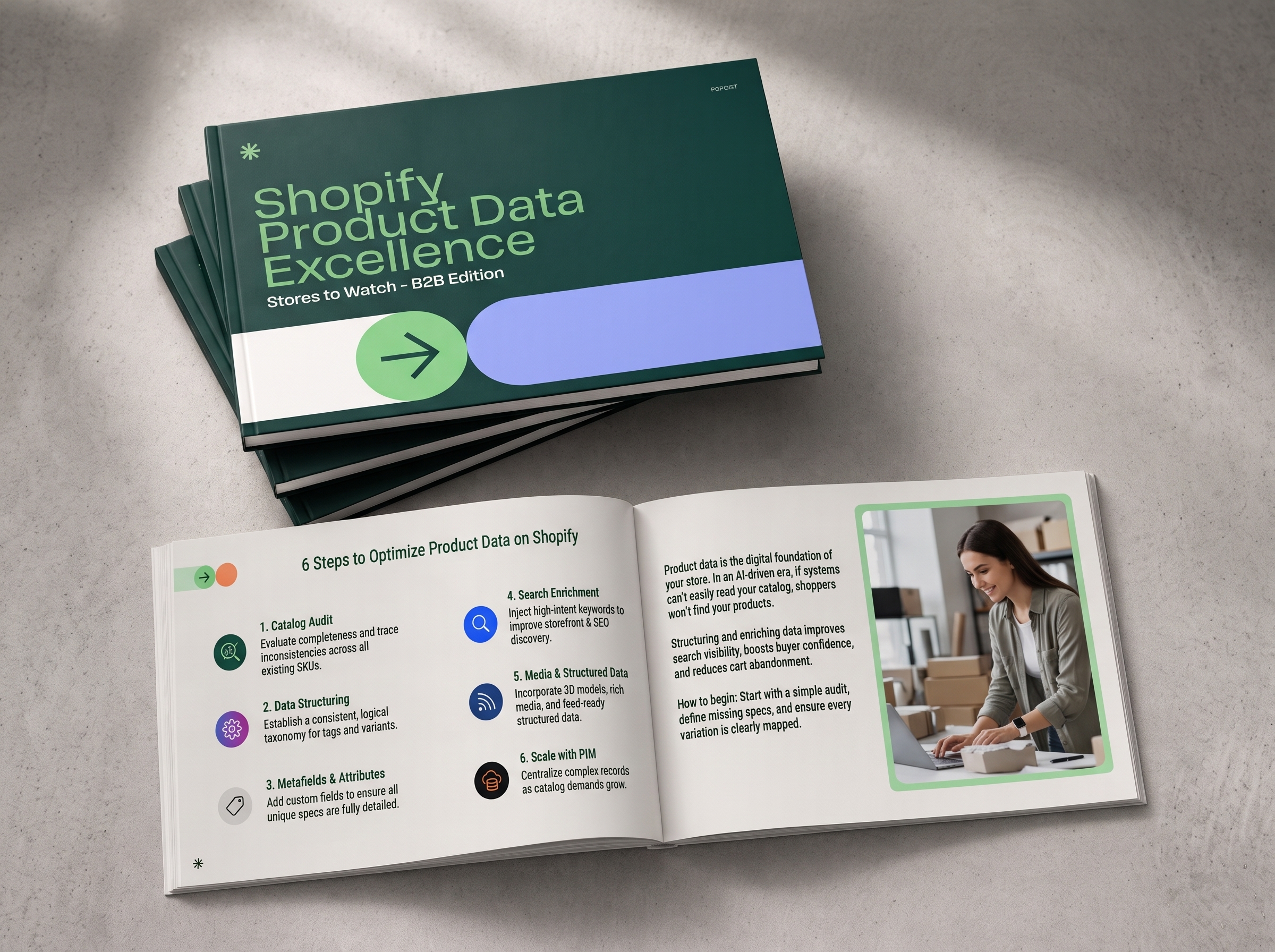 Shopify Product Data Excellence: Stores to Watch B2B Edition