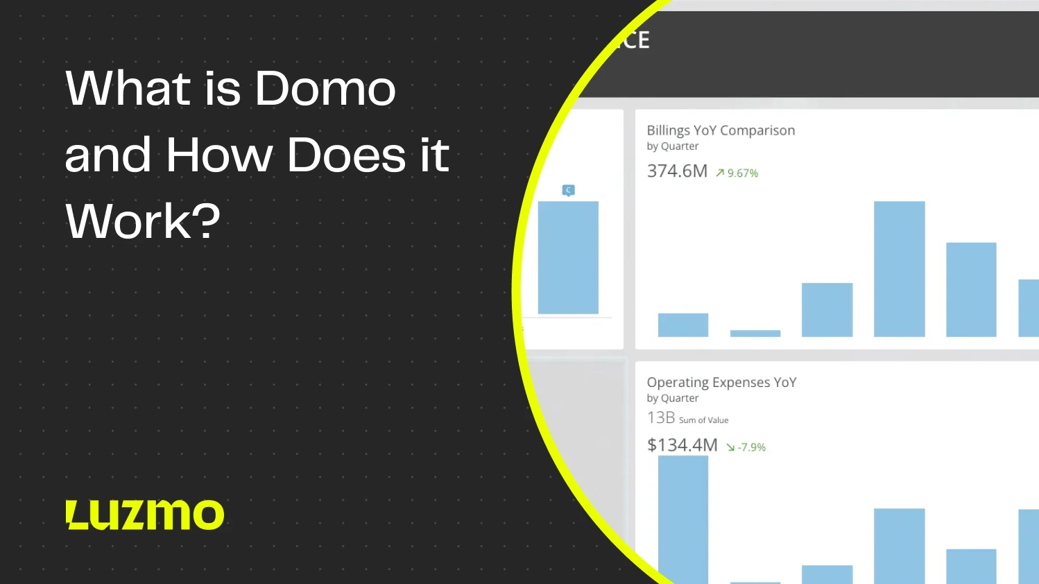 What is Domo and How Does it Work?