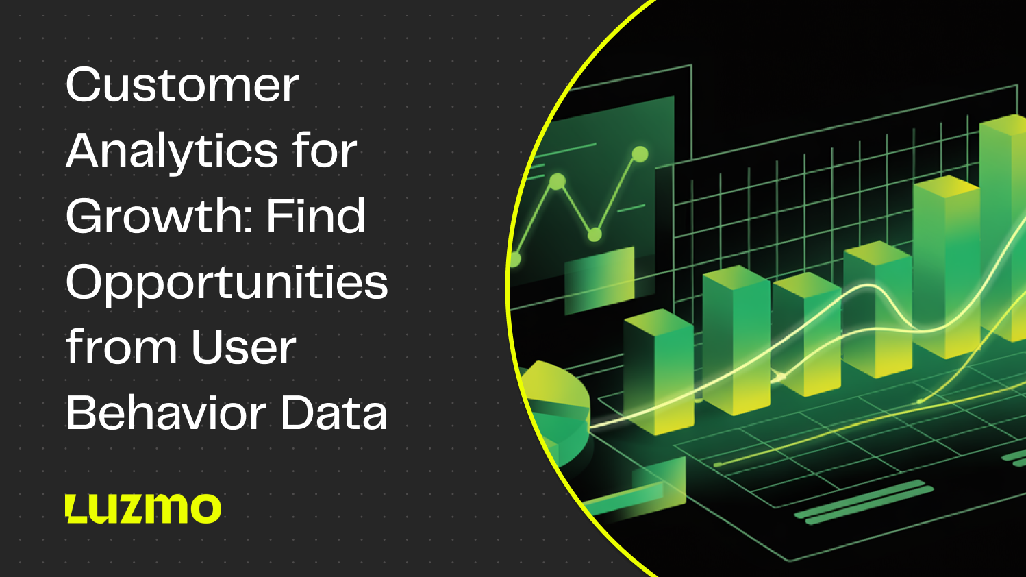 Customer Analytics for Growth: Find Opportunities from User Behavior Data