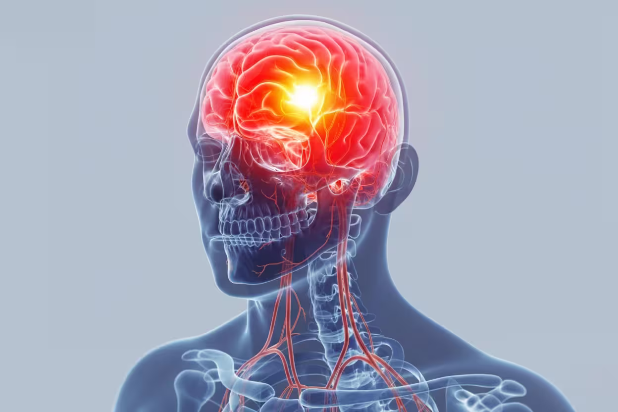 3D rendering of a human head and upper torso X-ray view highlighting the brain with a bright glowing spot in the center, indicating pain or activity, on a gray background.