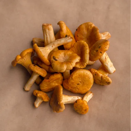 Chanterelle