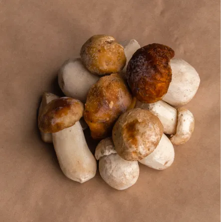 White mushroom whole