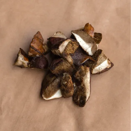 Polish mushroom cube