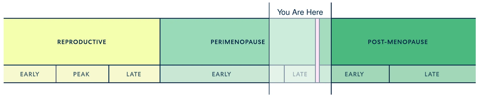 Reproductive stage bar with a You Are Here marker at late perimenopause