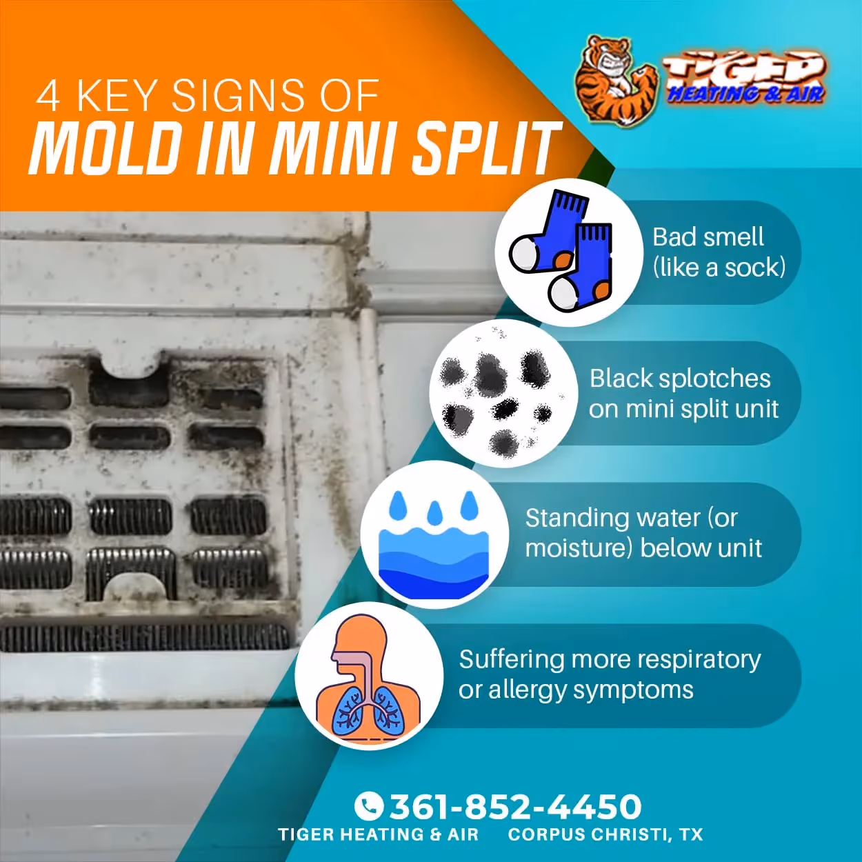 Have Mold in Your Mini Split?