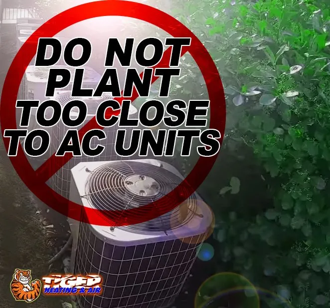 How to Hide AC Unit with Plants: A Simple Guide