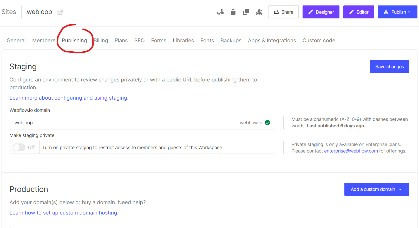 pagina publishing nelle opzioni di webflow