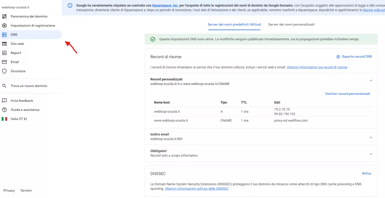 menu DNS su google domains