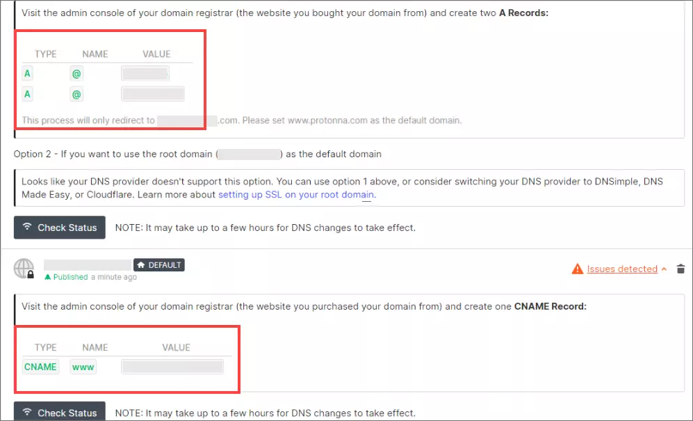 opzione dei DNS di Webflow da copiare