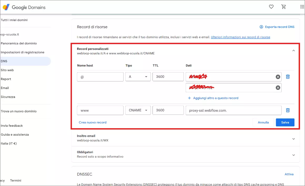 opzione dei DNS su google domain
