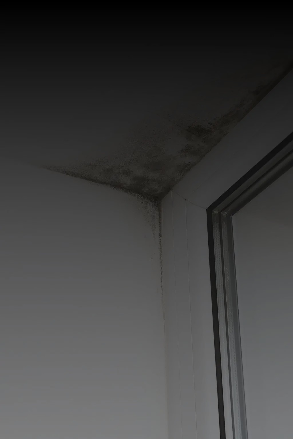 Water Ingress & Leak Repairs