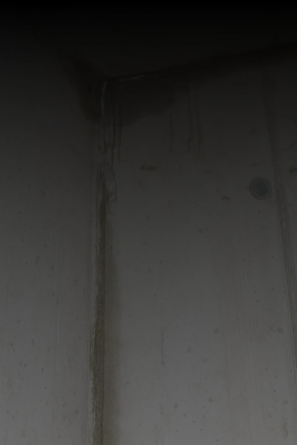 Defect Warranty Works