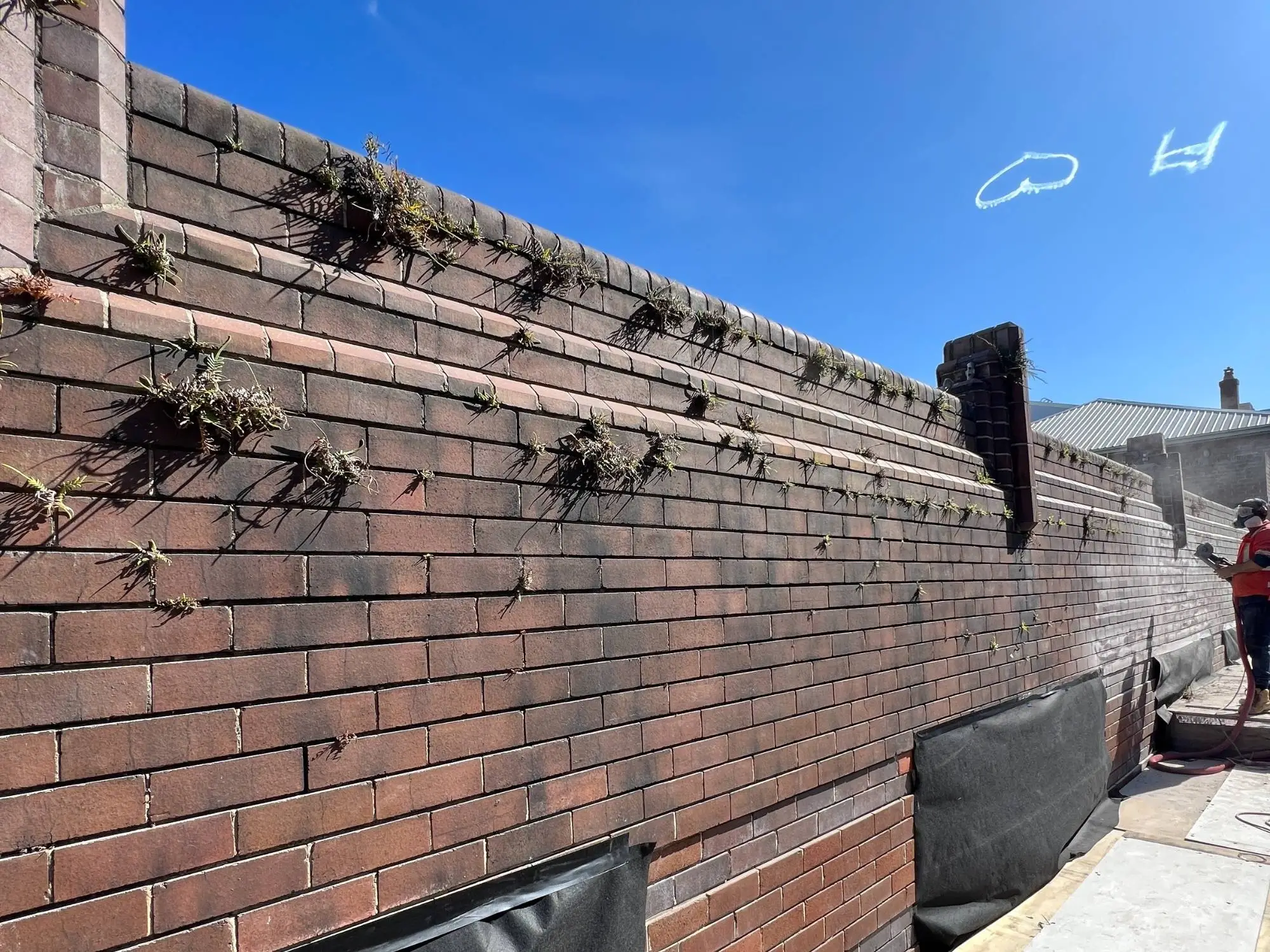 Heritage brick restoration at Maddox St, Alexandria — repointed brickwork with vegetation removed from the parapet