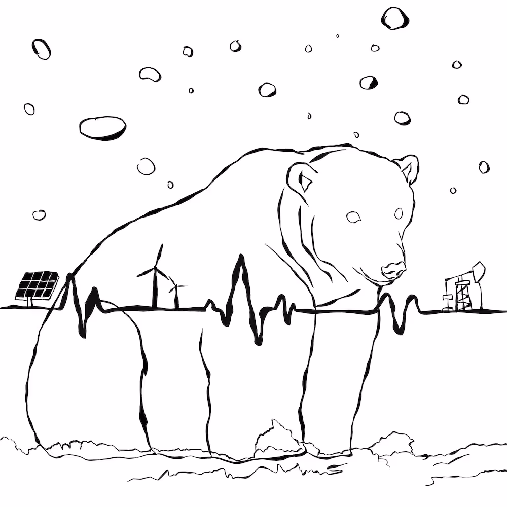 Polar Futures