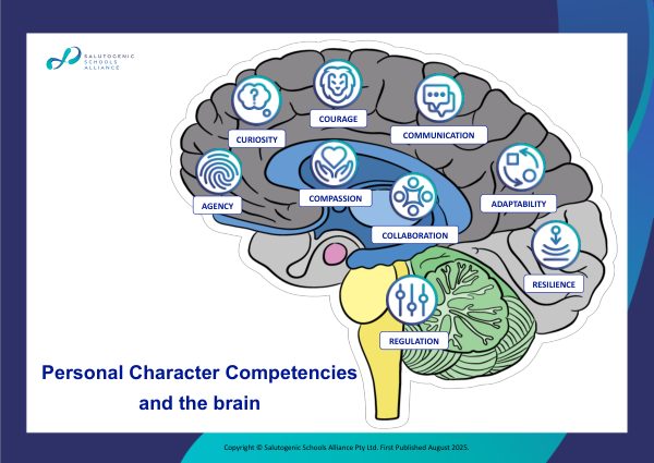 PCCs & the Brain