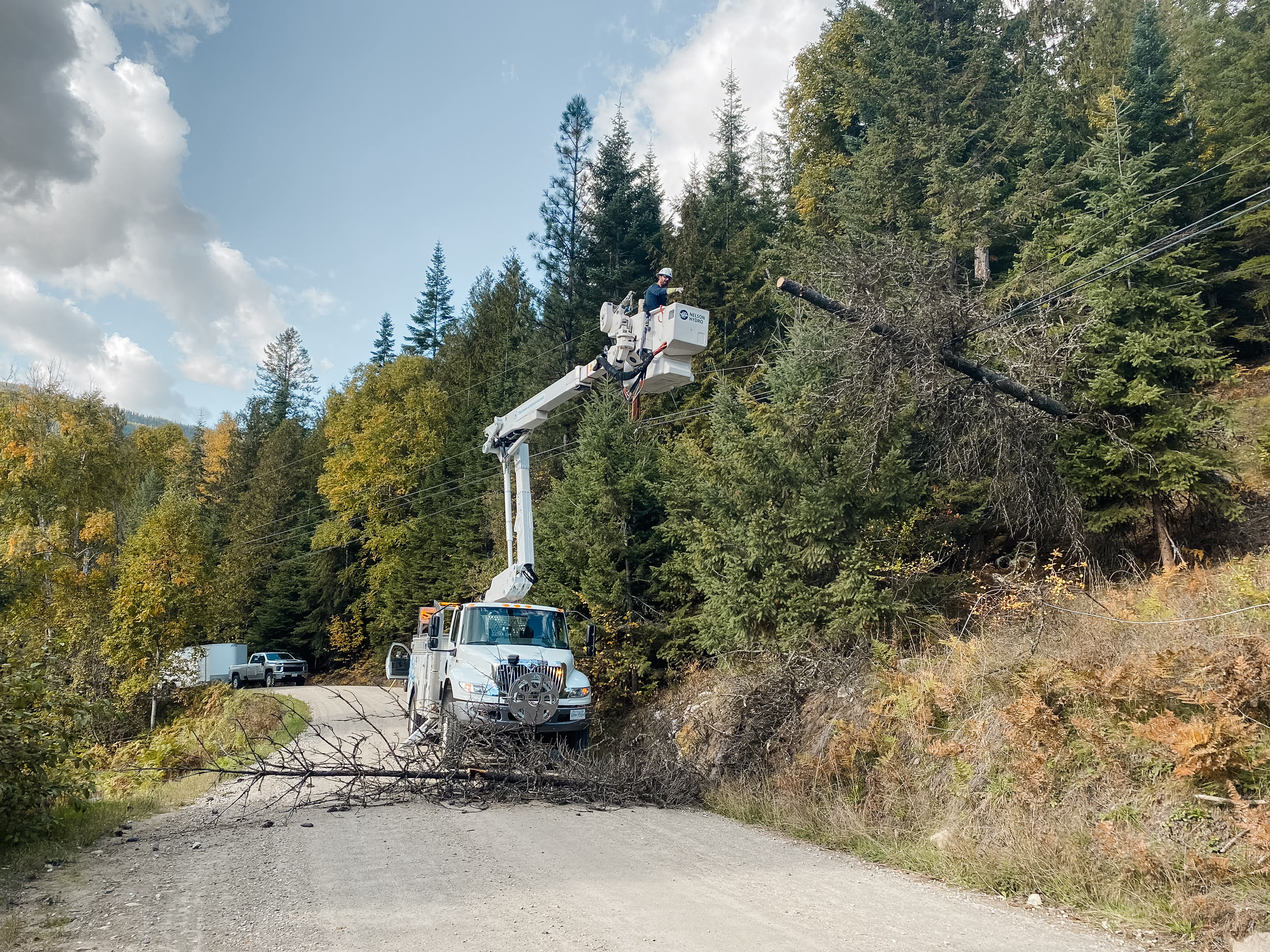 A Nelson Hydro truck on a forest road