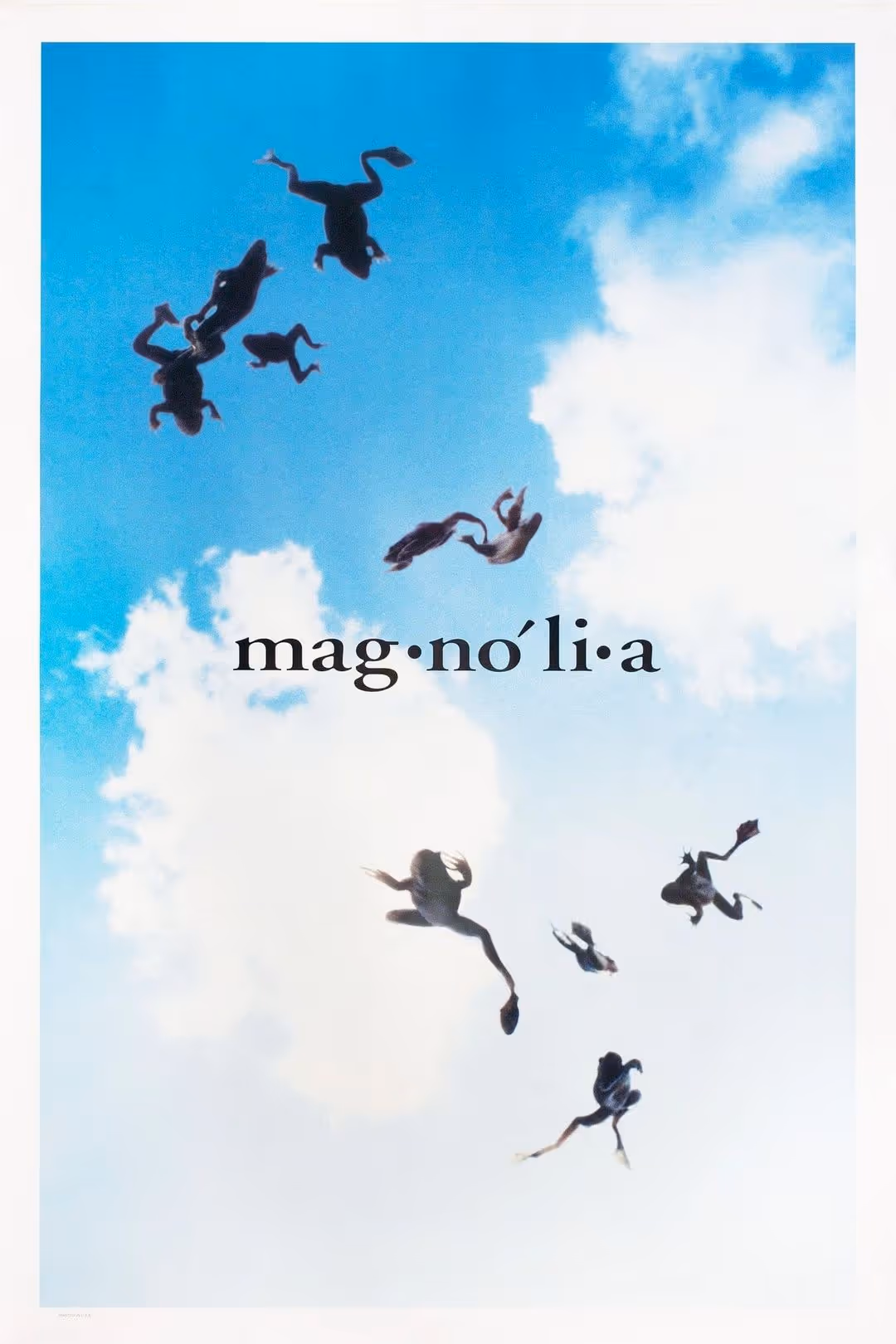 Magnolia
