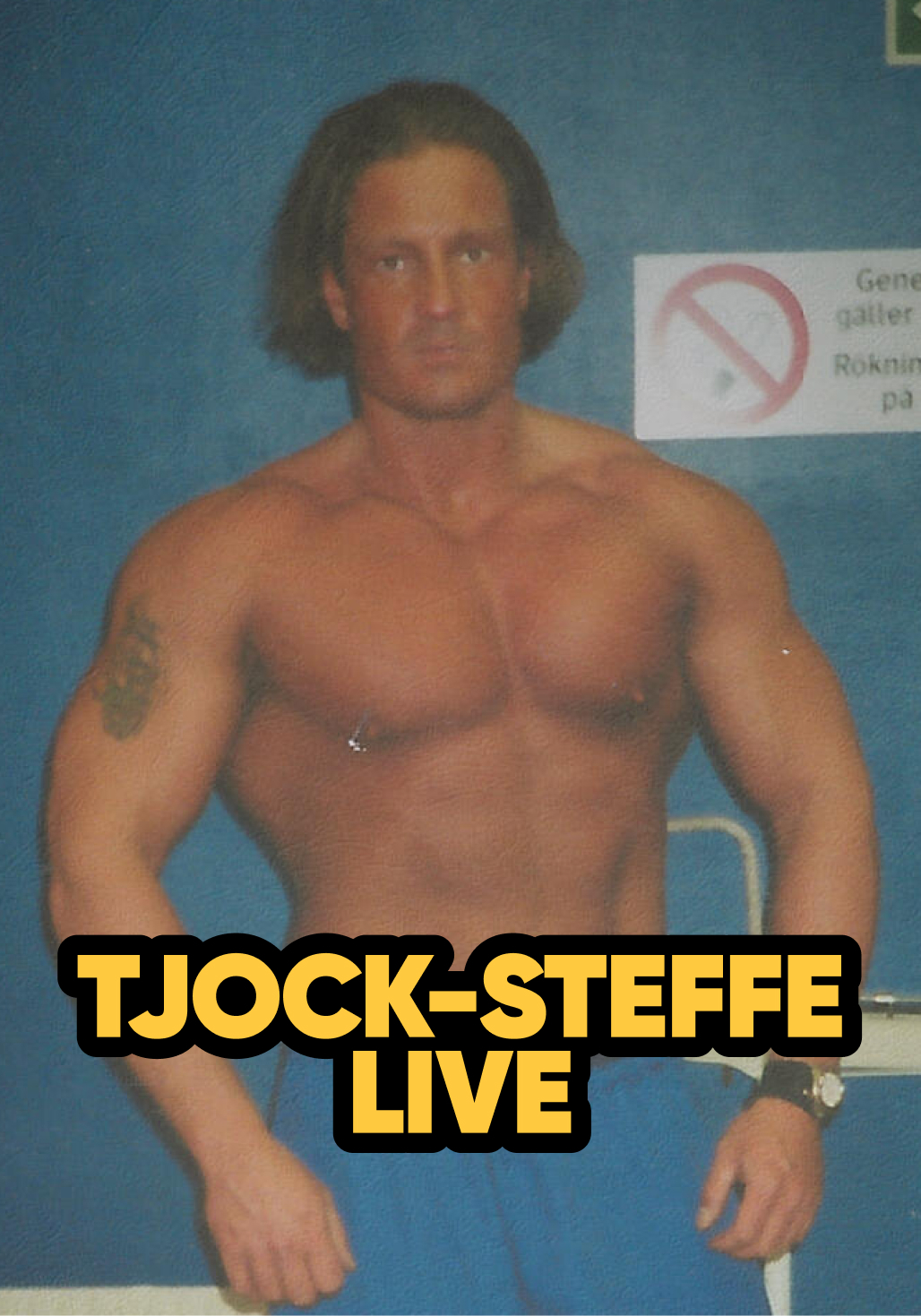 Tjock-Steffe Live - En ofiltrerad föreläsning