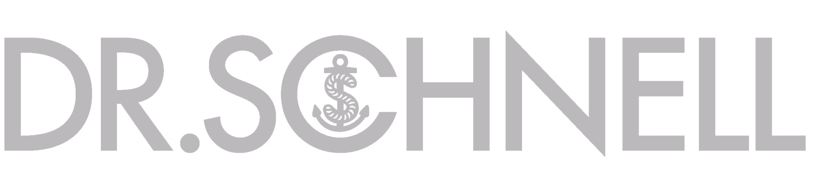 dr-schnell-Logo