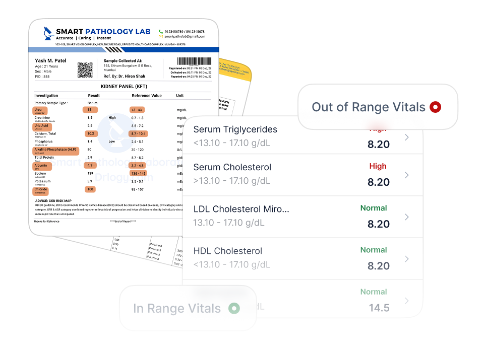 Product screenshots showing profits earned from governement launched incentive scheme DHIS