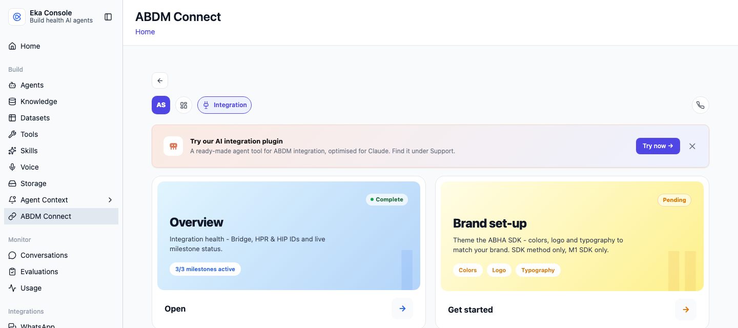 The integration workspace for a client, showing the AI plugin banner and cards for Overview, Brand set-up, Implement and Test cases.