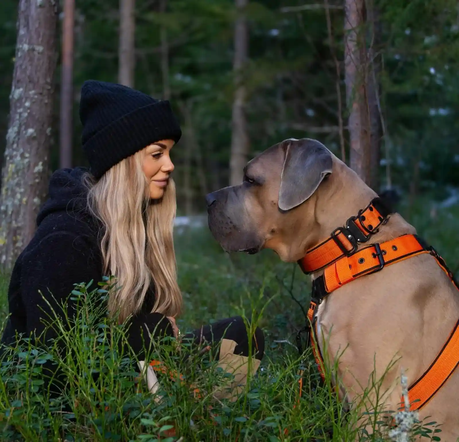 Hundstaff1