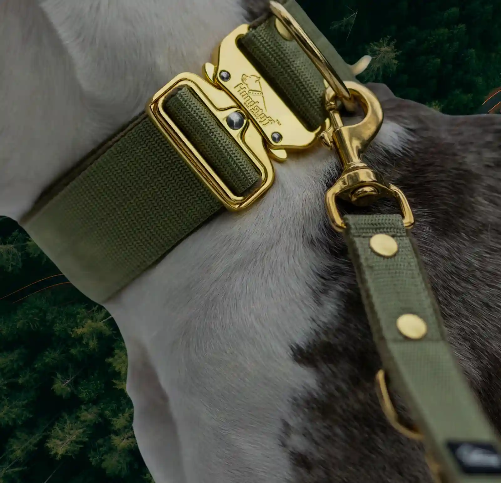 Hundstaff2
