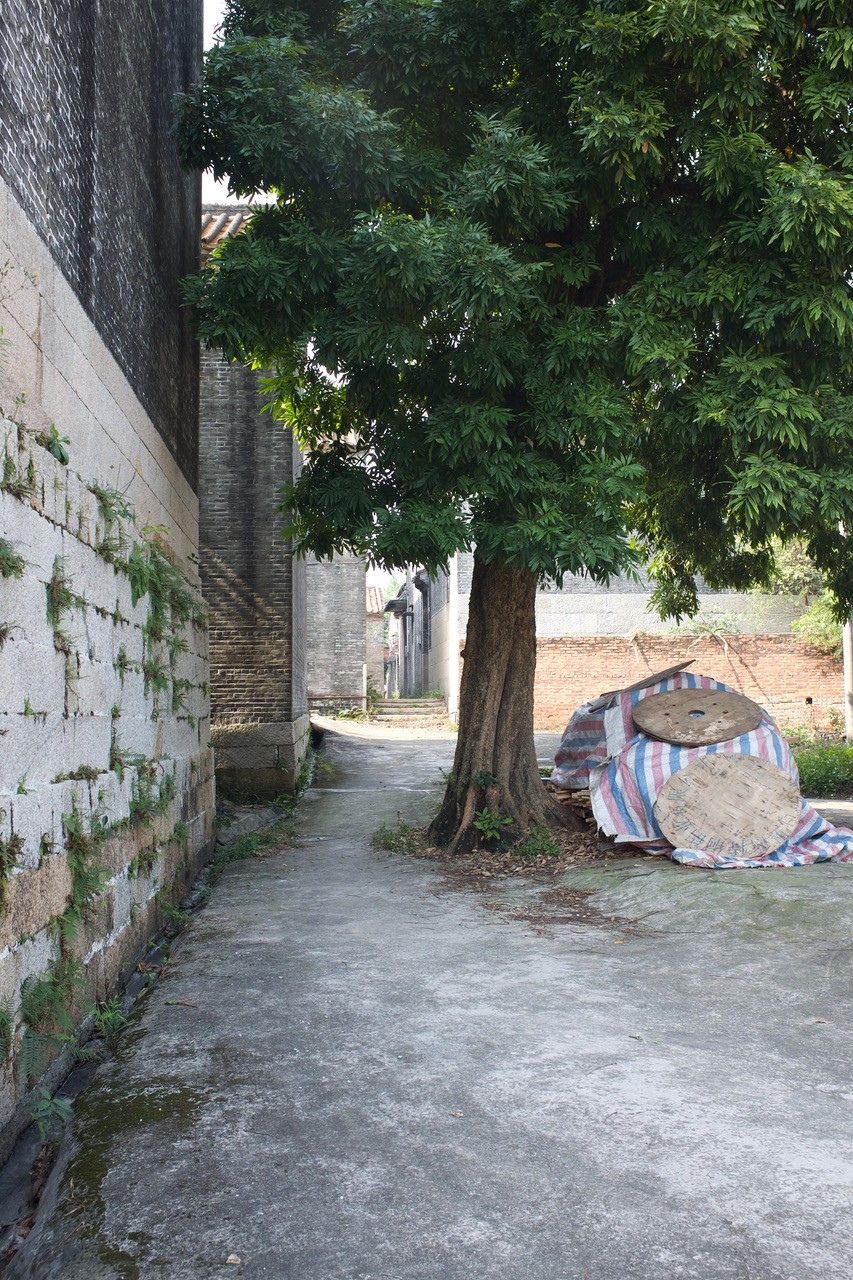 Two faces of my ancestral village (January 2018). Photograph by Hong Wan Chan