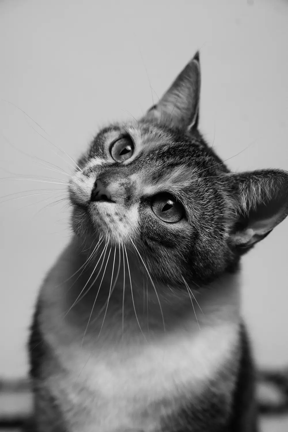 Two people in a small motorboat on a calm lake at sunset with forested hills in the background.